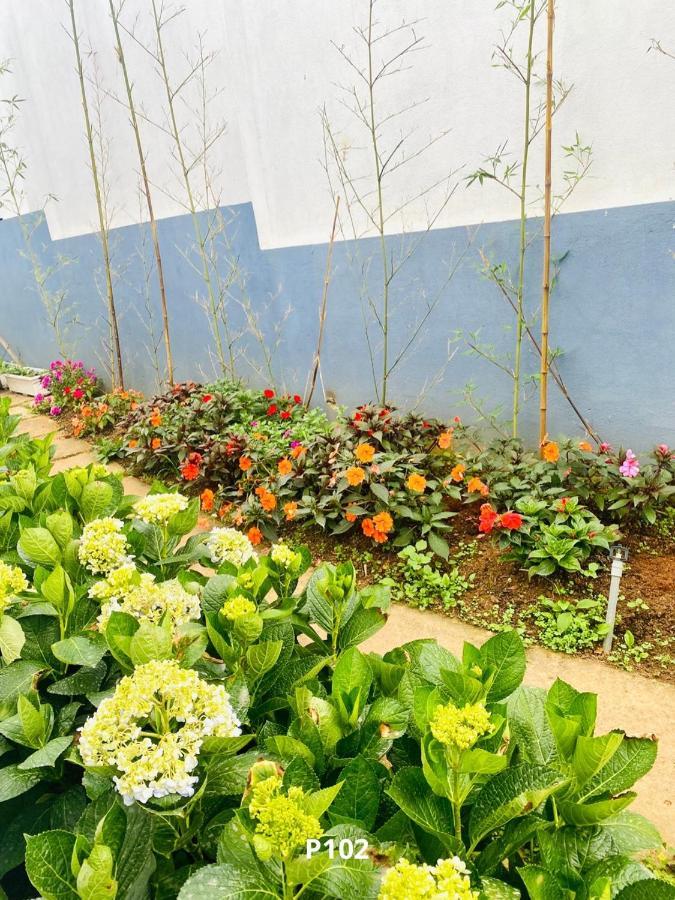 Đường Xưa Home Đà Lạt Ngoại thất bức ảnh